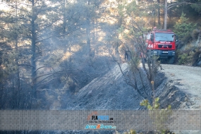 Forest fire at Kyperounta 17 August 2020