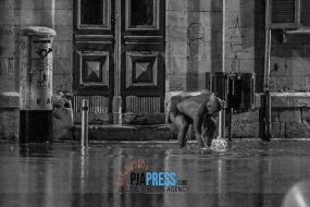 Στο ίδιο έργο θεατές ξανά με 20 λεπτά βροχής.
